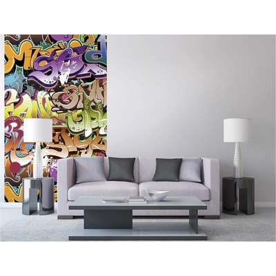 Dimex MS-2-0322 vliesová fototapeta na zeď Graffiti rozměry 150 x 250 cm