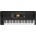 Korg EK-50 Limitless