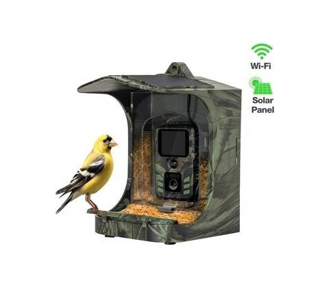 Evolveo StrongVision BirdFeeder