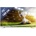 Hisense H75N5800