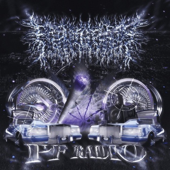 PeelingFlesh - PF Radio (CD) (0798576417093)