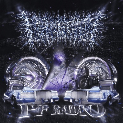PeelingFlesh - PF Radio (CD) (0798576417093)