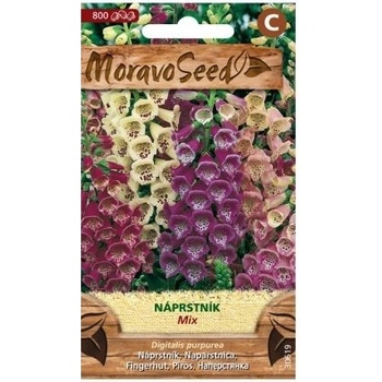 Semená náprstníka, zmes, 800 ks