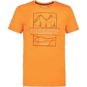 ICEPEAK Тениска beeville - sportdepot - 31,88 лв