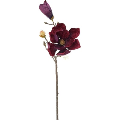 KS MAGNÓLIA BORDOVÁ 58CM