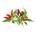 Click & Grow Семена Click and Grow Чили чушки микс, 9 броя (PPMCPX9)