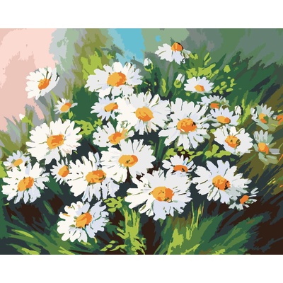 ZUTY Malování podle čísel KOPRETINY V TRÁVĚ 40 x 50 cm