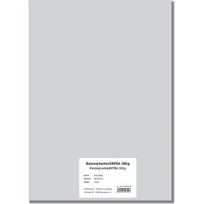 STEPA Barevný karton EXTRA 300g 50x70cm - šedý 10listů
