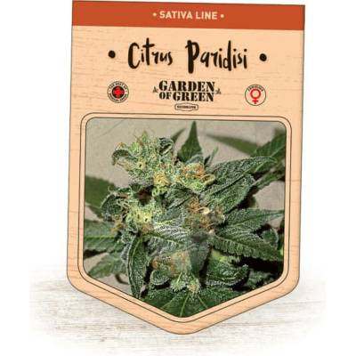 Garden Of Green Seedbank Citrus Paridisi semena neobsahují THC 3 ks