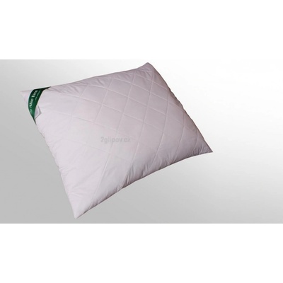 2G polštář Aloe Vera 60x50 600g