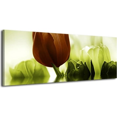Obraz tulipánů plátno 1 100x40