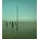 DEVIL\'S WITCHES - IN ALL HER FORMS CD