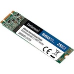 Intenso 256GB M.2 SATA3 (3832440)
