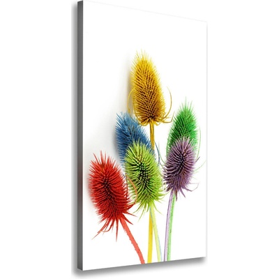 Vertikálny foto obraz tlačený na plátne Roľný 50x100 cm