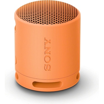Sony SRS-XB100D