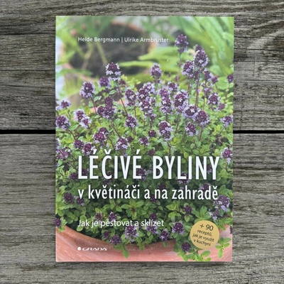 Léčivé byliny v květináči a na zahradě