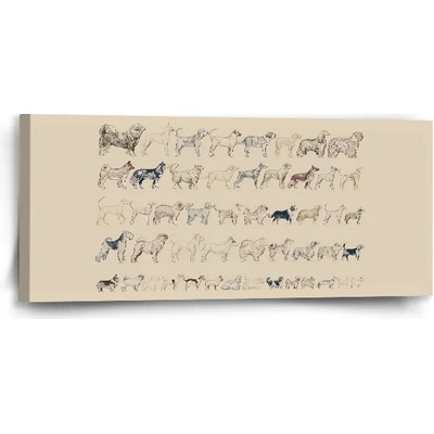 Sablio Obraz Psie plemená - 110x50 cm