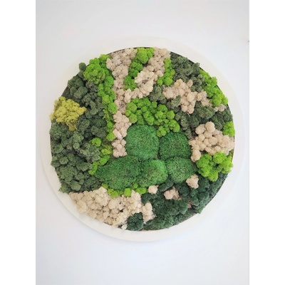 Machový obraz kruh- priemer 80cm