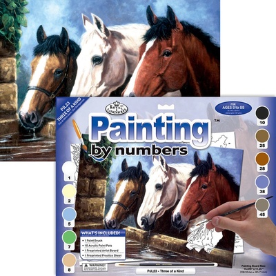 Malování podle čísel 3 koně JUNIOR