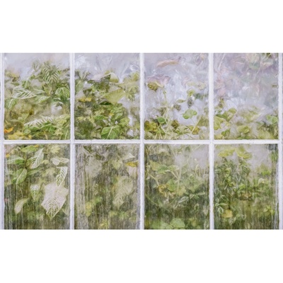 Komar Vliesová fototapeta Secret Stash 400 x 250 cm