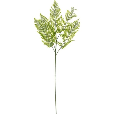 KONÁR PAPRAĎ ZELENÁ 84CM