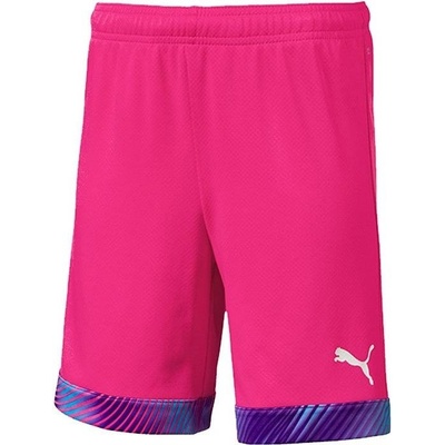 Puma cup kids
