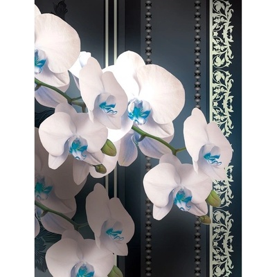 Preinterier Fototapeta panel - PL0118 - Biele kvety vlies - 206cm x 275cm