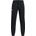 Under Armour Icon fleece jogger s
