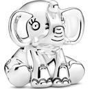 Pandora 799088C00
