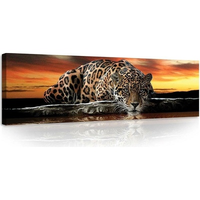 Postershop Obraz na plátně: Jaguár - 145x45 cm