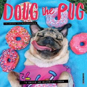 Willow Creek Press Calendars Doug the Pug 2026 7 X 7 Mini Wall Calendar