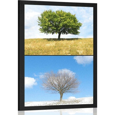 Plakát strom v ročních obdobích - 20x30 black