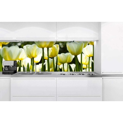 DIMEX KI-180-009 Fototapeta do kuchyne Biele tulipány, rozmery 180 x 60 cm