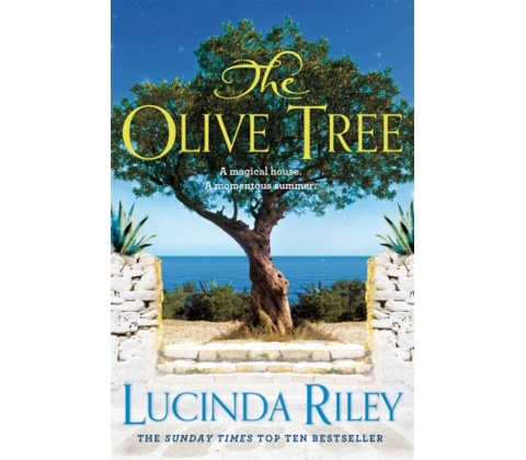Olive Tree