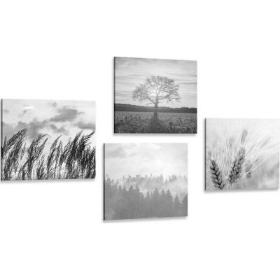 Set obrazů kouzlo černobílé krajiny - 4x 40x40