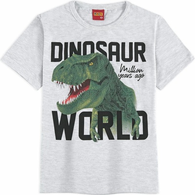 Kyly tričko Dino World šedé
