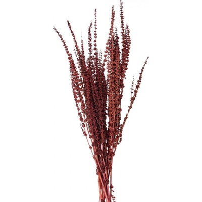 Sušené květy červené 85 cm (100 gr) – 85 cm