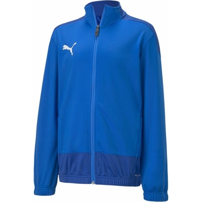 Puma mikina Blue/blue