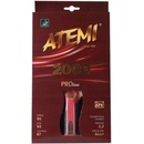 Atemi 2000