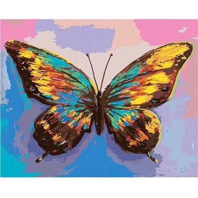 ZUTY Malování podle čísel PŘEKRÁSNÝ BAREVNÝ MOTÝL Rozměr 40 x 50 cm Rámování vypnuté plátno na rám