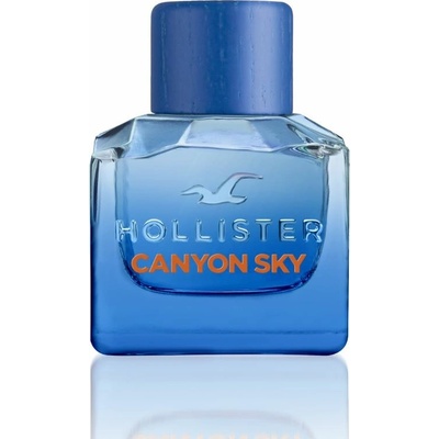 Hollister Canyon Sky for Him toaletná voda pánska 50 ml