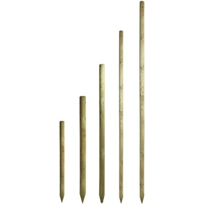 Asko a.s. Kôl so špicom 60 x 2500 mm - borovica
