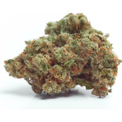Growers Choice Gorilla Cookies AUTO semena neobsahují THC 5 ks