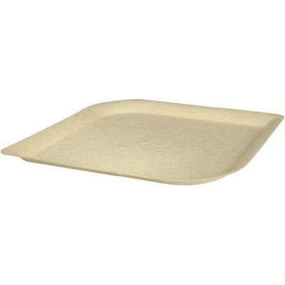 ABENA - Talíř designový BIO cukrová třtina 23 x 23 x 1 cm (50 ks)