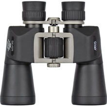Delta Silver 10x50
