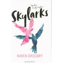 Skylarks