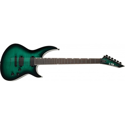 ESP LTD H3-1000