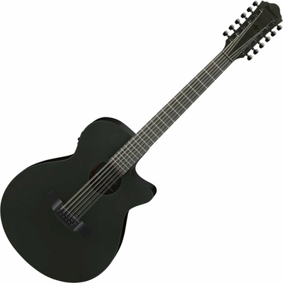 Ibanez AEG1221-BOT