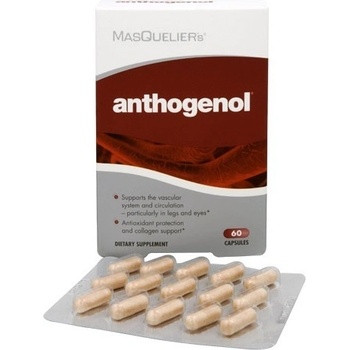 Imunotop Anthogenol 60 kapslí
