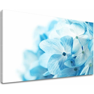 Obraz na stenu KVETY - 20x30